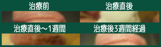 �^��l�A�s���u�],�ʐ^,����,�u���O,�o��,��p,�u�c�u�c,�T��