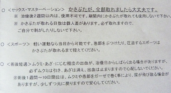 �^��l�A�s���u�],���Ì�,���ӓ_,�}�X�^�[�x�[�V����,������,����,2�T�ԑO��